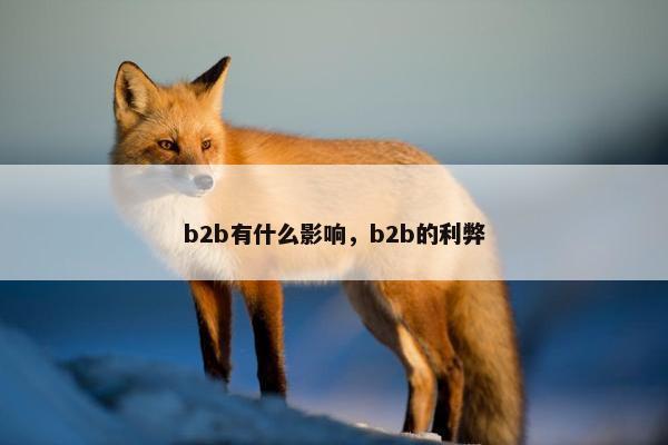 b2b有什么影响，b2b的利弊
