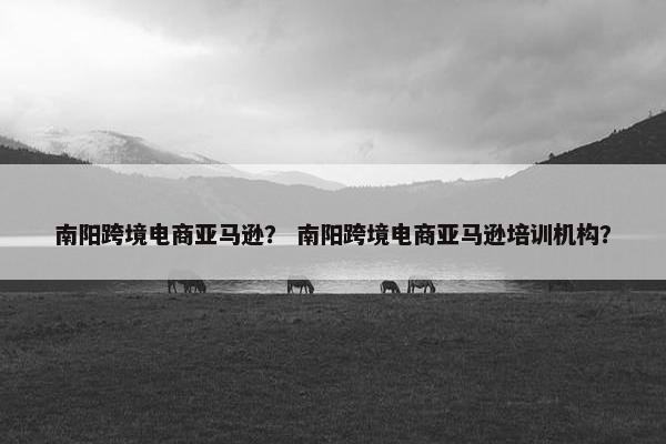 南阳跨境电商亚马逊？ 南阳跨境电商亚马逊培训机构？