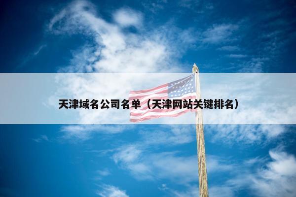 天津域名公司名单（天津网站关键排名）