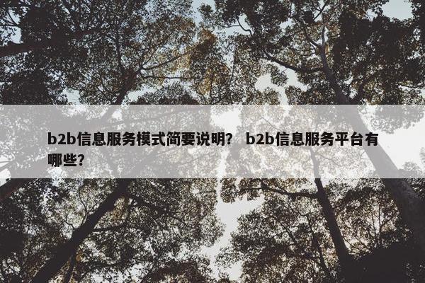 b2b信息服务模式简要说明？ b2b信息服务平台有哪些？