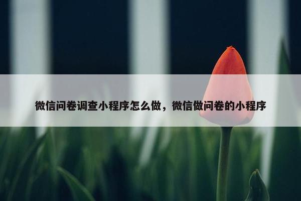 微信问卷调查小程序怎么做，微信做问卷的小程序