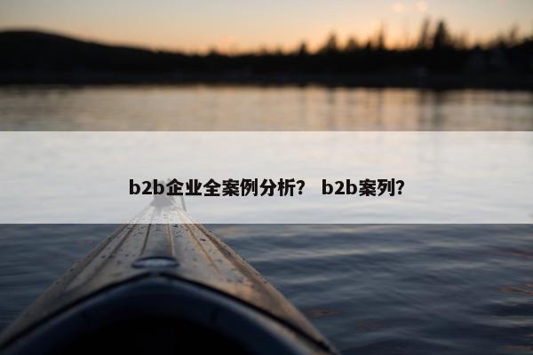 b2b企业全案例分析？ b2b案列？