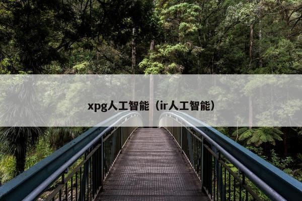 xpg人工智能（ir人工智能）