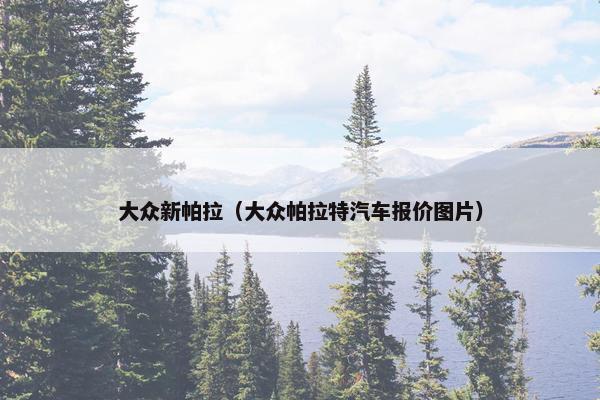 大众新帕拉（大众帕拉特汽车报价图片）
