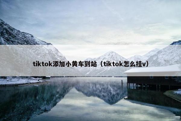 tiktok添加小黄车到站（tiktok怎么挂v）