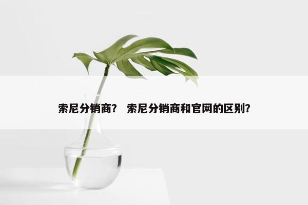 索尼分销商？ 索尼分销商和官网的区别？