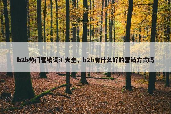 b2b热门营销词汇大全，b2b有什么好的营销方式吗