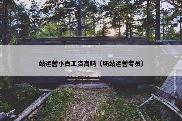 站运营小白工资高吗（场站运营专员）