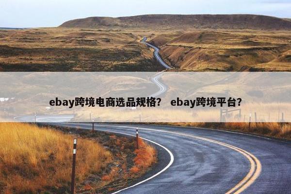 ebay跨境电商选品规格？ ebay跨境平台？