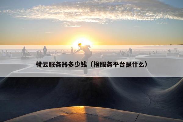 橙云服务器多少钱（橙服务平台是什么）