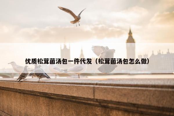 优质松茸菌汤包一件代发（松茸菌汤包怎么做）
