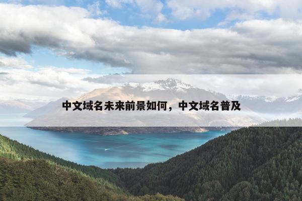 中文域名未来前景如何，中文域名普及