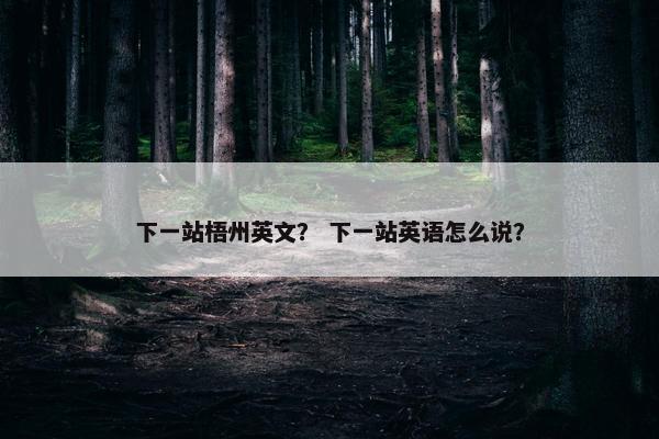 下一站梧州英文？ 下一站英语怎么说？