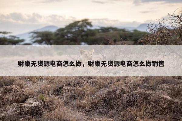财巢无货源电商怎么做，财巢无货源电商怎么做销售