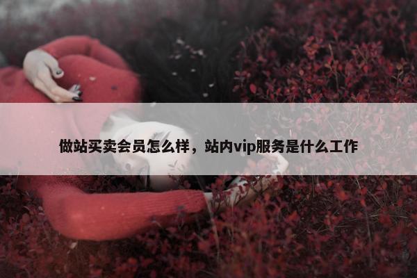 做站买卖会员怎么样，站内vip服务是什么工作