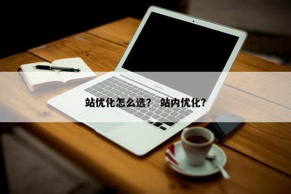 站优化怎么选？ 站内优化？