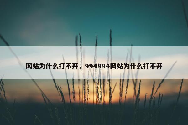 网站为什么打不开，994994网站为什么打不开