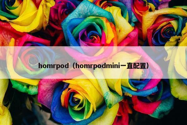 homrpod（homrpodmini一直配置）