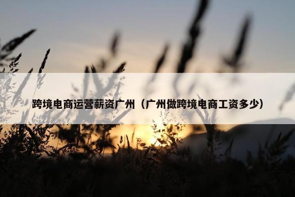 跨境电商运营薪资广州（广州做跨境电商工资多少）