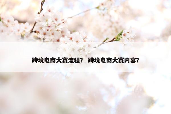 跨境电商大赛流程？ 跨境电商大赛内容？