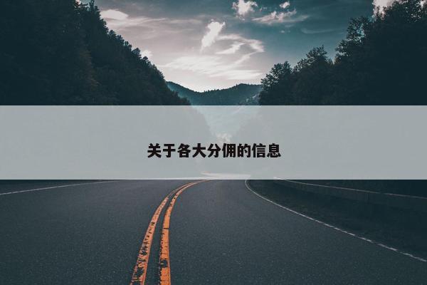 关于各大分佣的信息