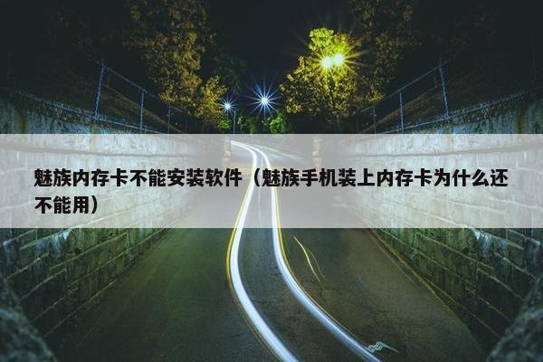 魅族内存卡不能安装软件（魅族手机装上内存卡为什么还不能用）