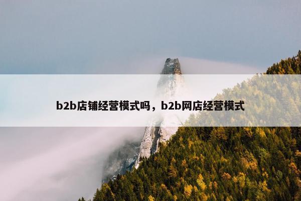 b2b店铺经营模式吗，b2b网店经营模式