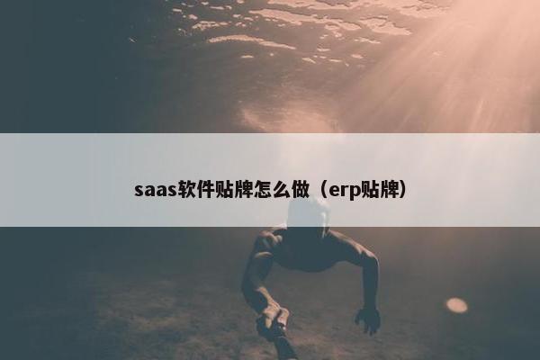 saas软件贴牌怎么做（erp贴牌）