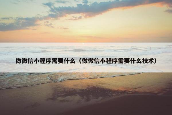 做微信小程序需要什么（做微信小程序需要什么技术）
