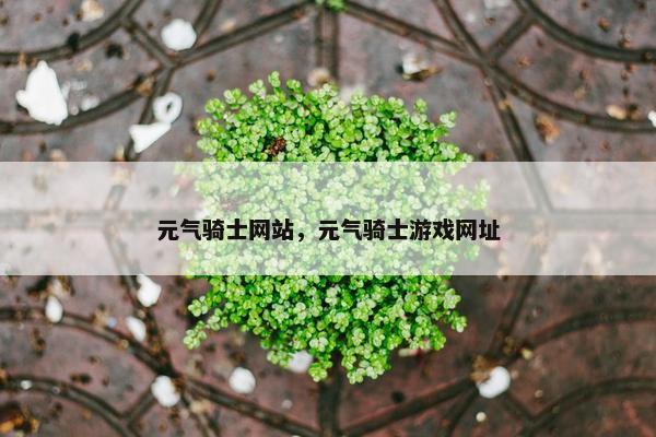 元气骑士网站，元气骑士游戏网址