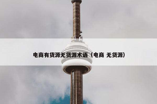电商有货源无货源术语（电商 无货源）