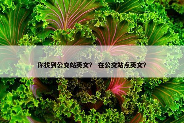 你找到公交站英文？ 在公交站点英文？