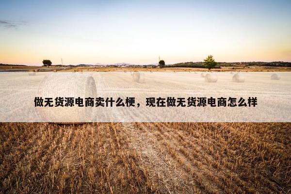 做无货源电商卖什么梗，现在做无货源电商怎么样
