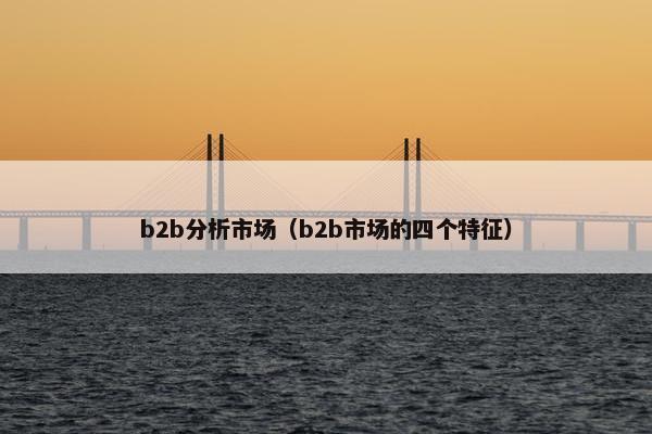 b2b分析市场（b2b市场的四个特征）