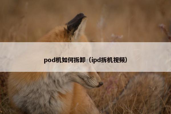 pod机如何拆卸（ipd拆机视频）
