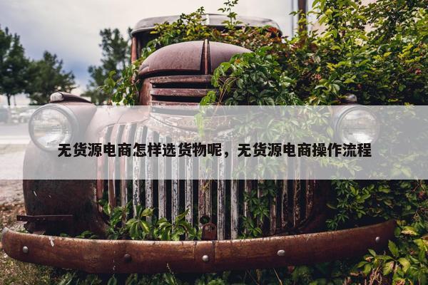 无货源电商怎样选货物呢，无货源电商操作流程
