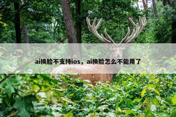 ai换脸不支持ios，ai换脸怎么不能用了