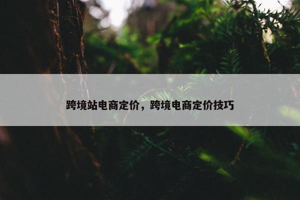跨境站电商定价，跨境电商定价技巧