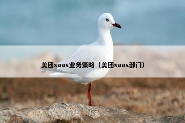 美团saas业务策略（美团saas部门）