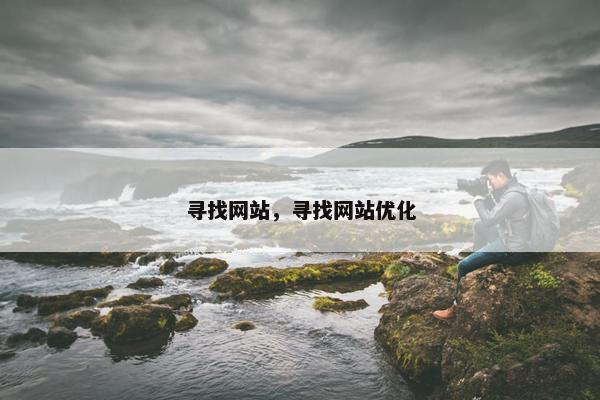 寻找网站，寻找网站优化