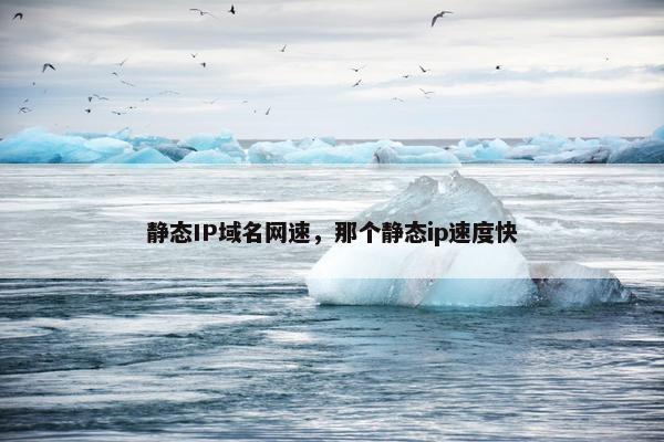 静态IP域名网速，那个静态ip速度快