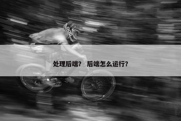 处理后端？ 后端怎么运行？