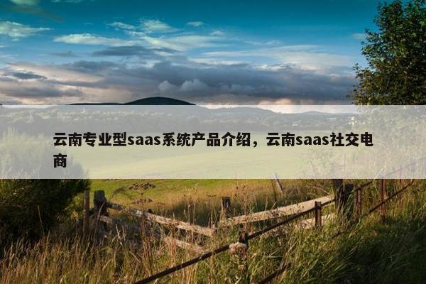 云南专业型saas系统产品介绍，云南saas社交电商