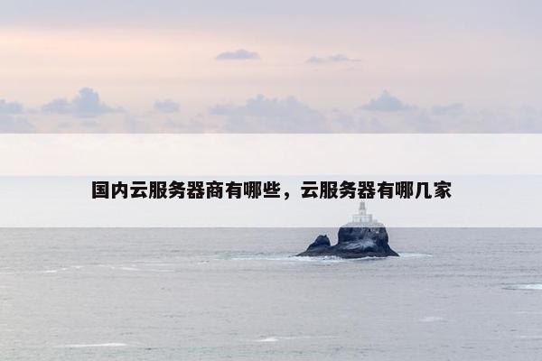 国内云服务器商有哪些，云服务器有哪几家