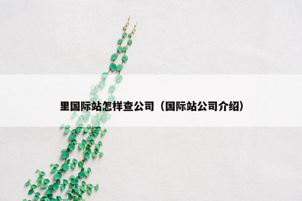 里国际站怎样查公司（国际站公司介绍）