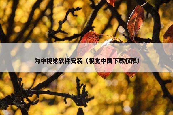 为中视觉软件安装（视觉中国下载权限）
