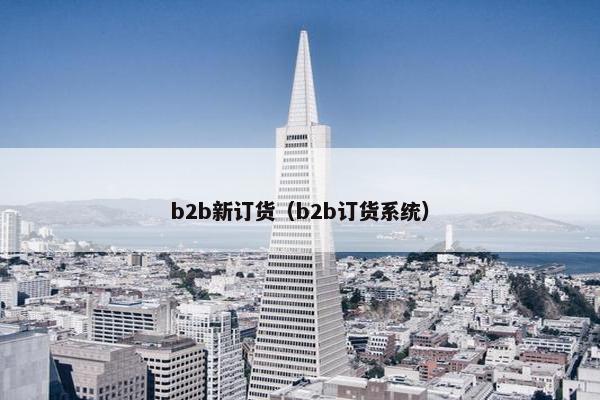 b2b新订货（b2b订货系统）