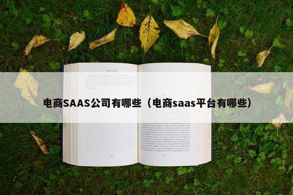 电商SAAS公司有哪些（电商saas平台有哪些）