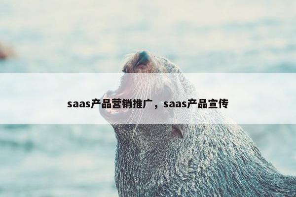 saas产品营销推广，saas产品宣传