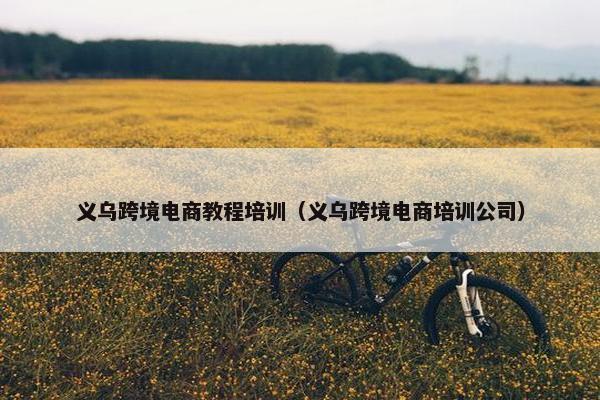 义乌跨境电商教程培训（义乌跨境电商培训公司）